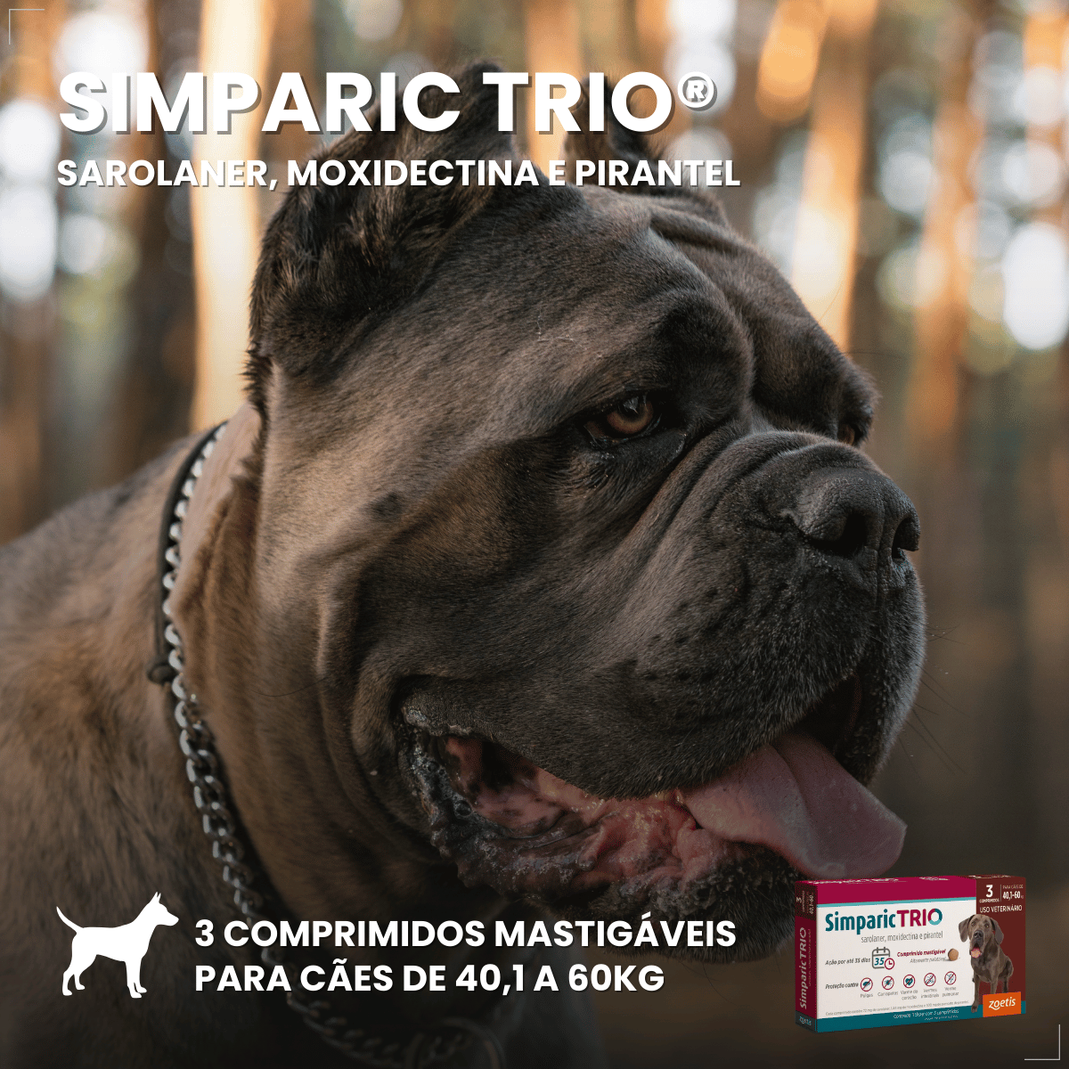 Simparic TRIO Cão 40,1 a 60kg Vermífugo Pulga Carrapato 3 Comprimidos