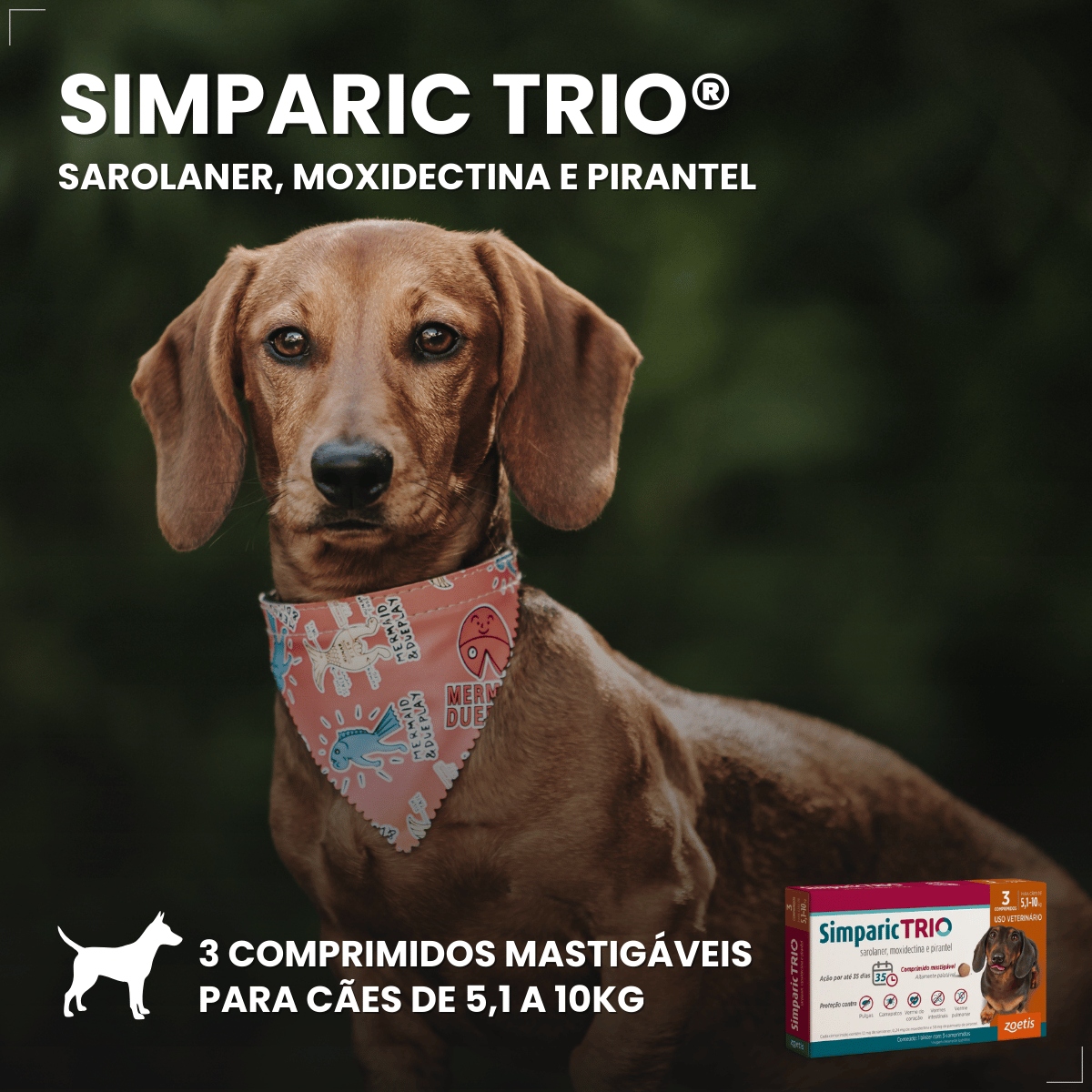 Simparic TRIO Cães 5,1 a 10KG Vermífugo Pulga Carrapato 3 Comprimidos
