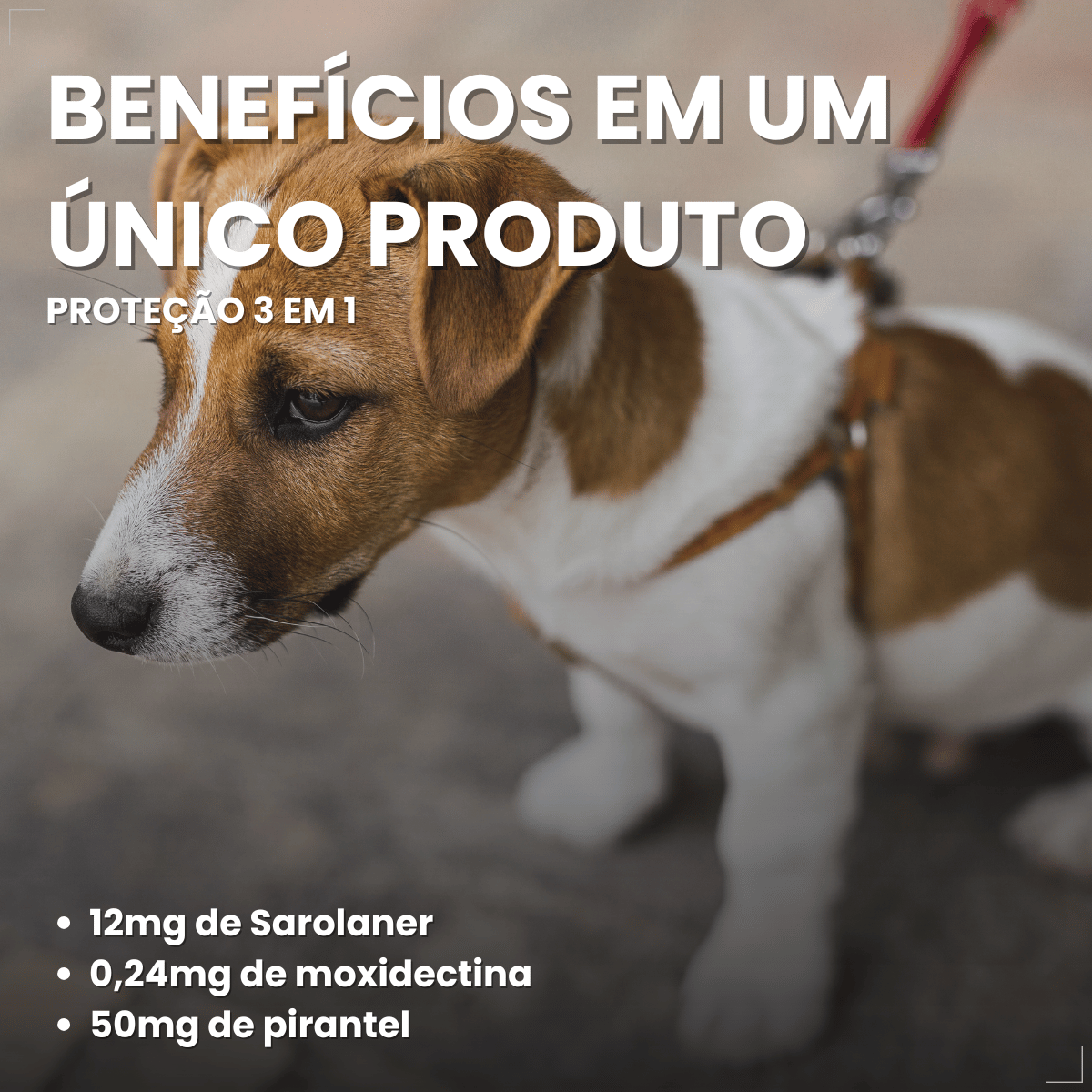 Simparic TRIO Cães 5,1 a 10KG Vermífugo Pulga Carrapato 1 Comprimido