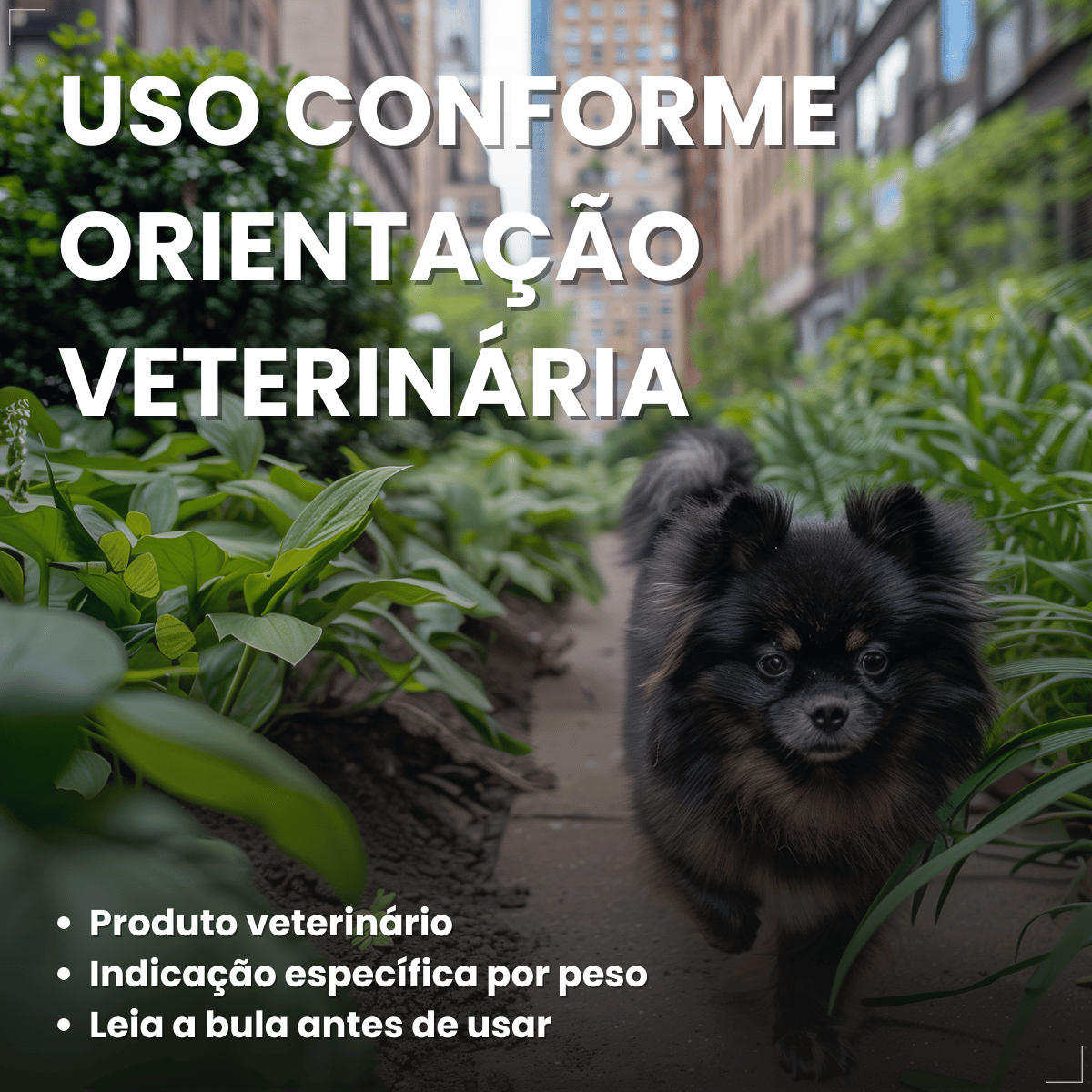 Simparic TRIO Cães 2,6 a 5KG Vermífugo Pulga Carrapato 3 Comprimidos