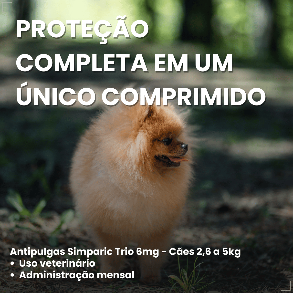 Simparic TRIO Cães 2,6 a 5KG Vermífugo Pulga Carrapato 3 Comprimidos