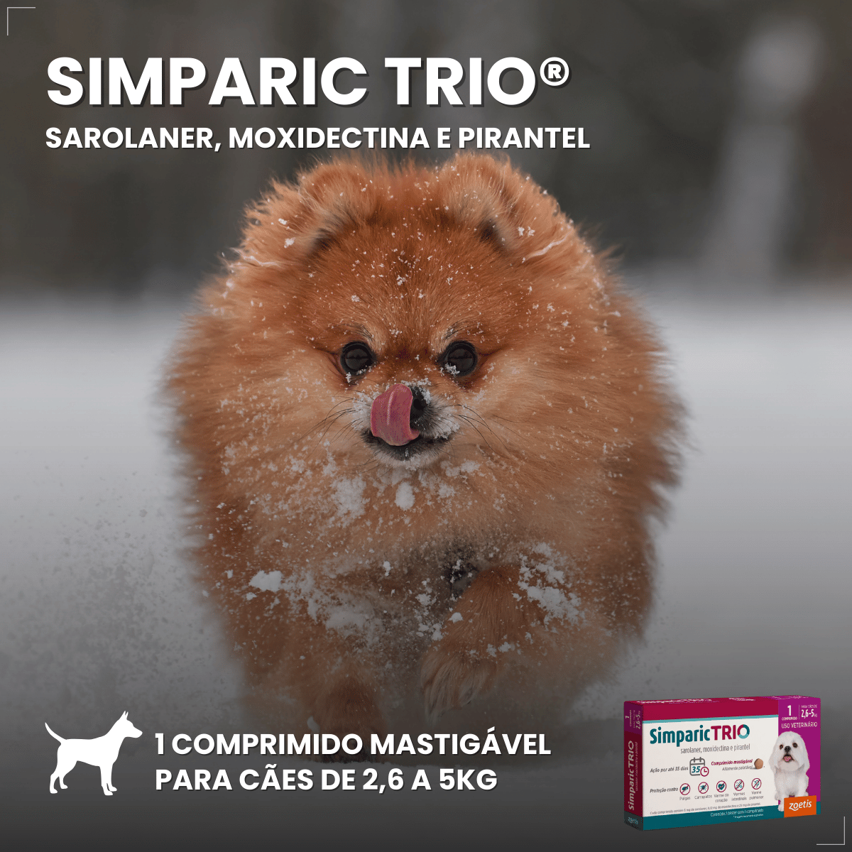 Simparic TRIO Cães 2,6 a 5KG Vermífugo Pulga Carrapato 1 Comprimido