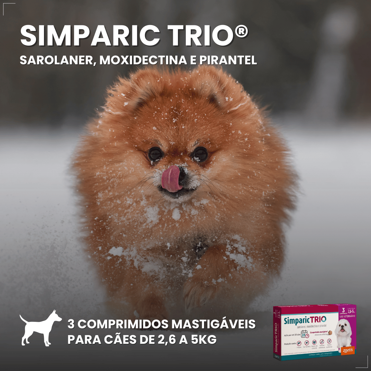 Simparic TRIO Cães 2,6 a 5KG Vermífugo Pulga Carrapato 3 Comprimidos