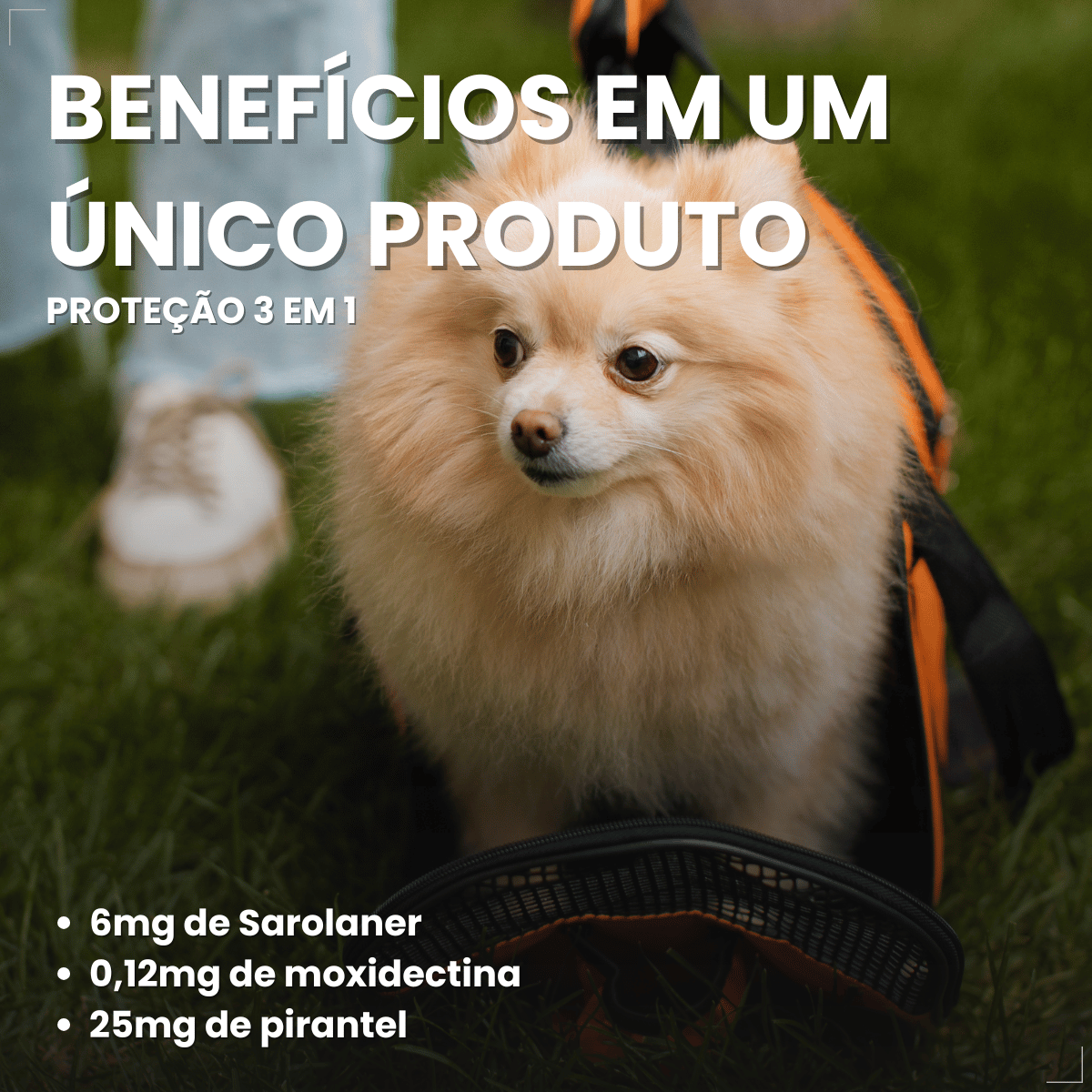 Simparic TRIO Cães 2,6 a 5KG Vermífugo Pulga Carrapato 3 Comprimidos