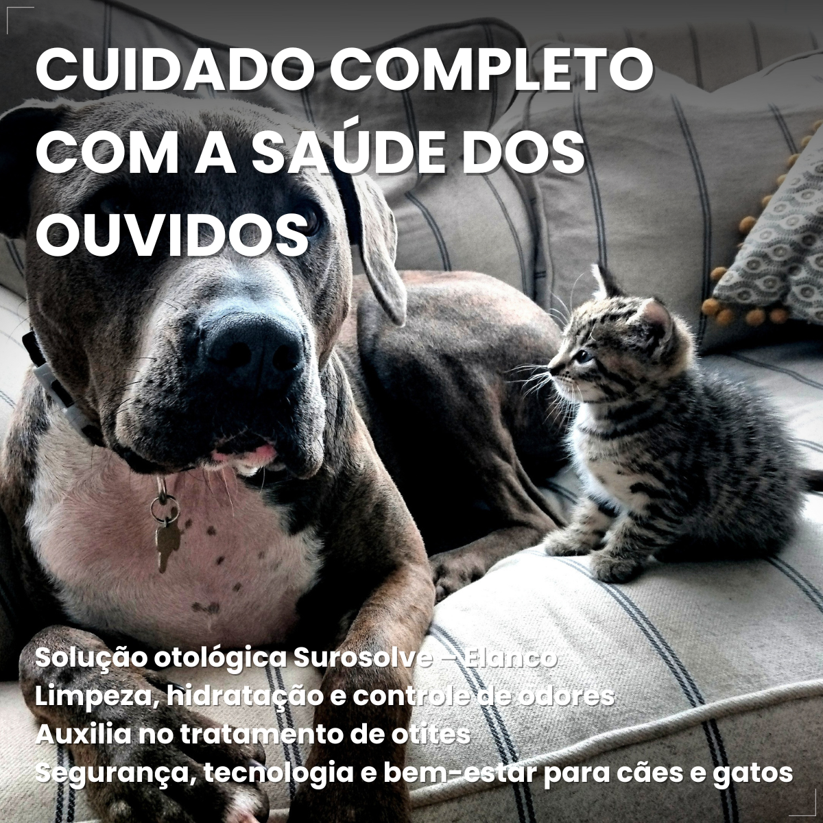 Surosolve Solução Auricular Para Cães e Gatos 125ml Elanco