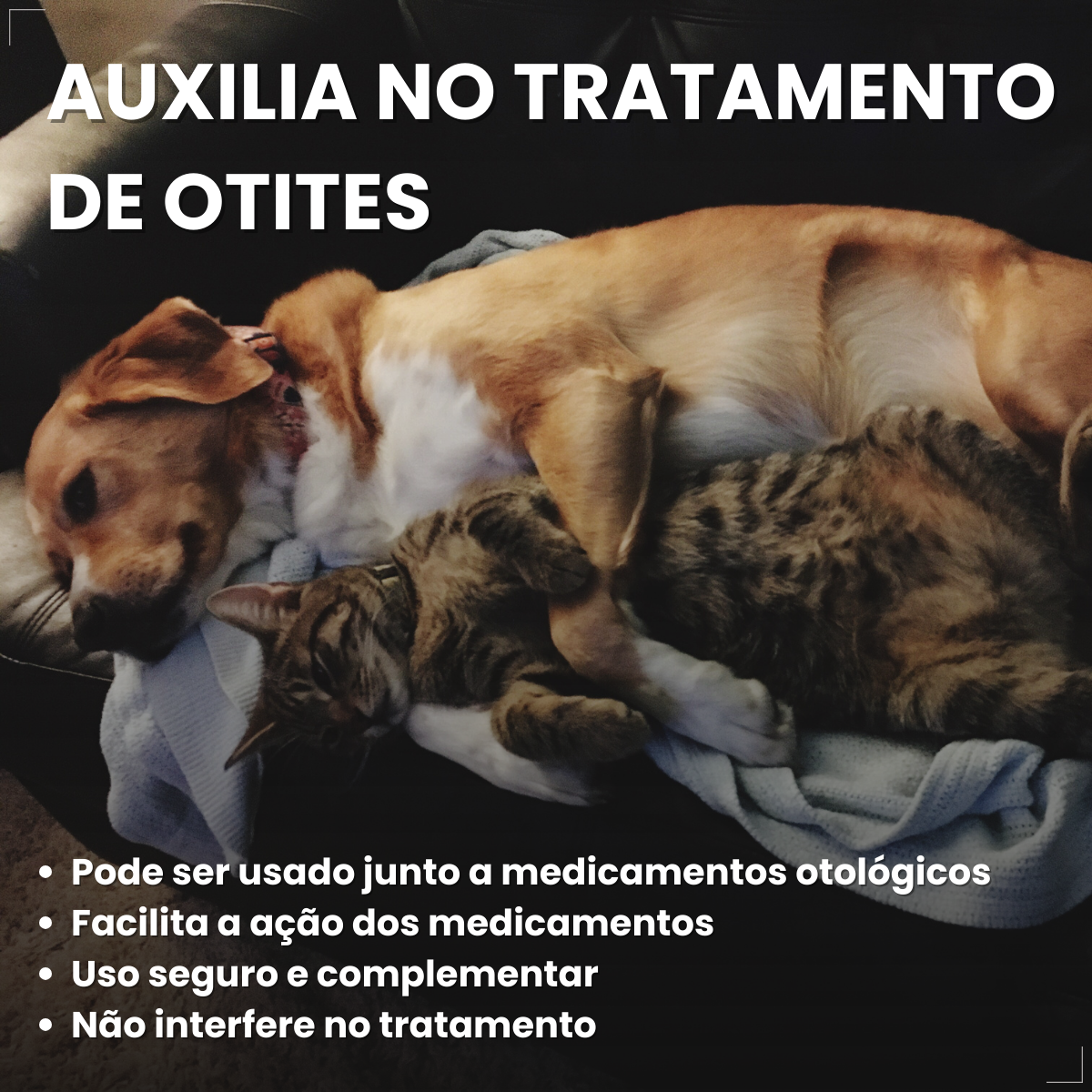 Surosolve Solução Auricular Para Cães e Gatos 125ml Elanco