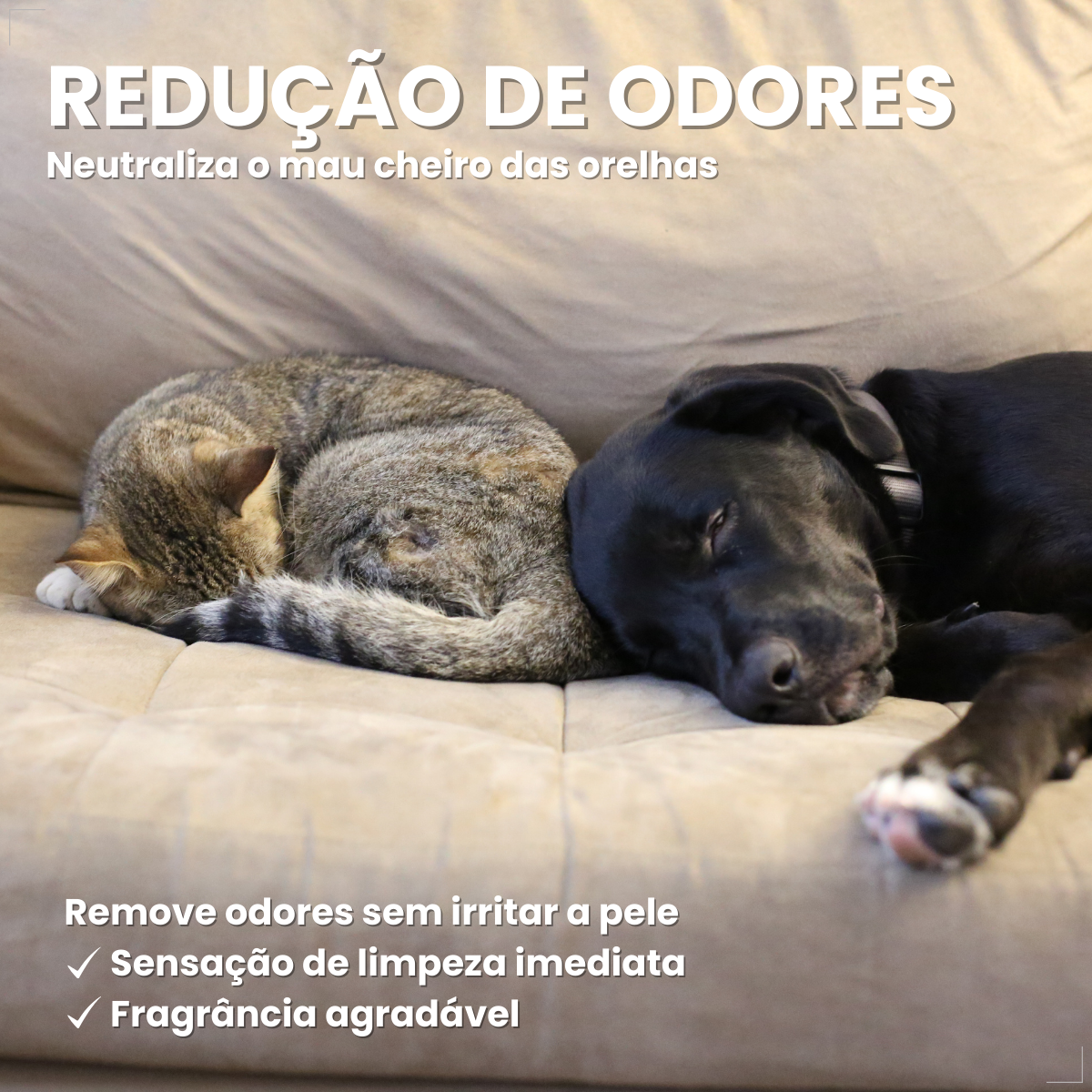 Surosolve Solução Auricular Para Cães e Gatos 125ml Elanco