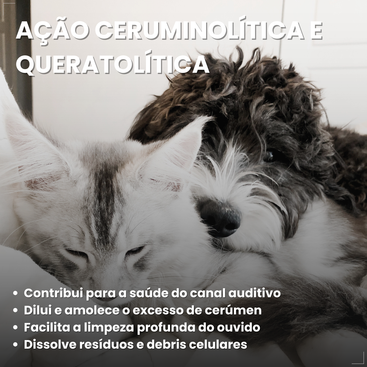 Surosolve Solução Auricular Para Cães e Gatos 125ml Elanco