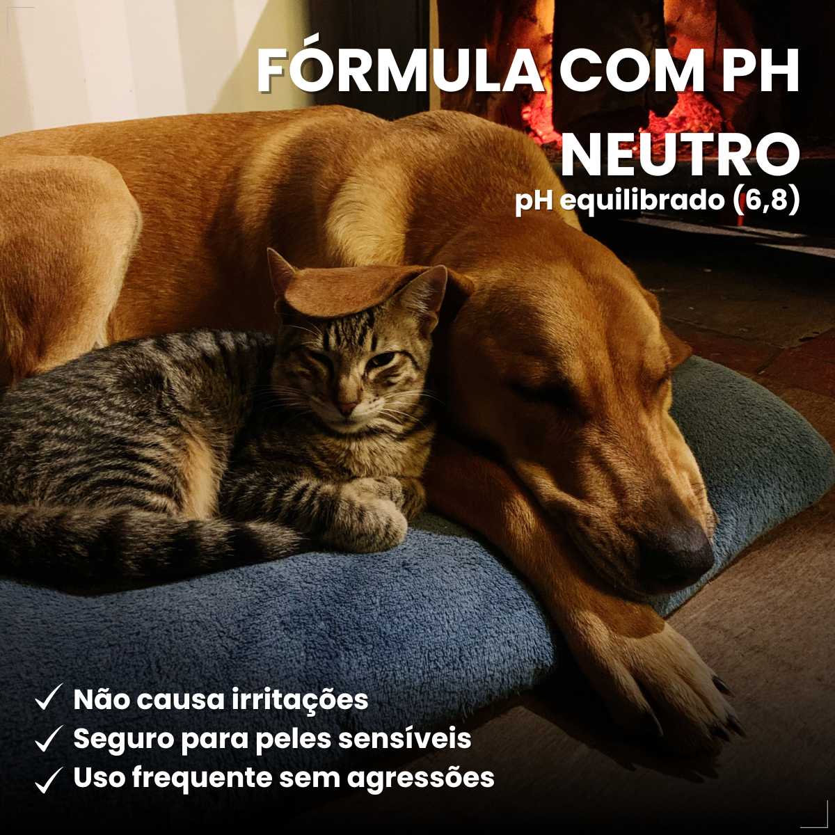 Surosolve Solução Auricular Para Cães e Gatos 125ml Elanco