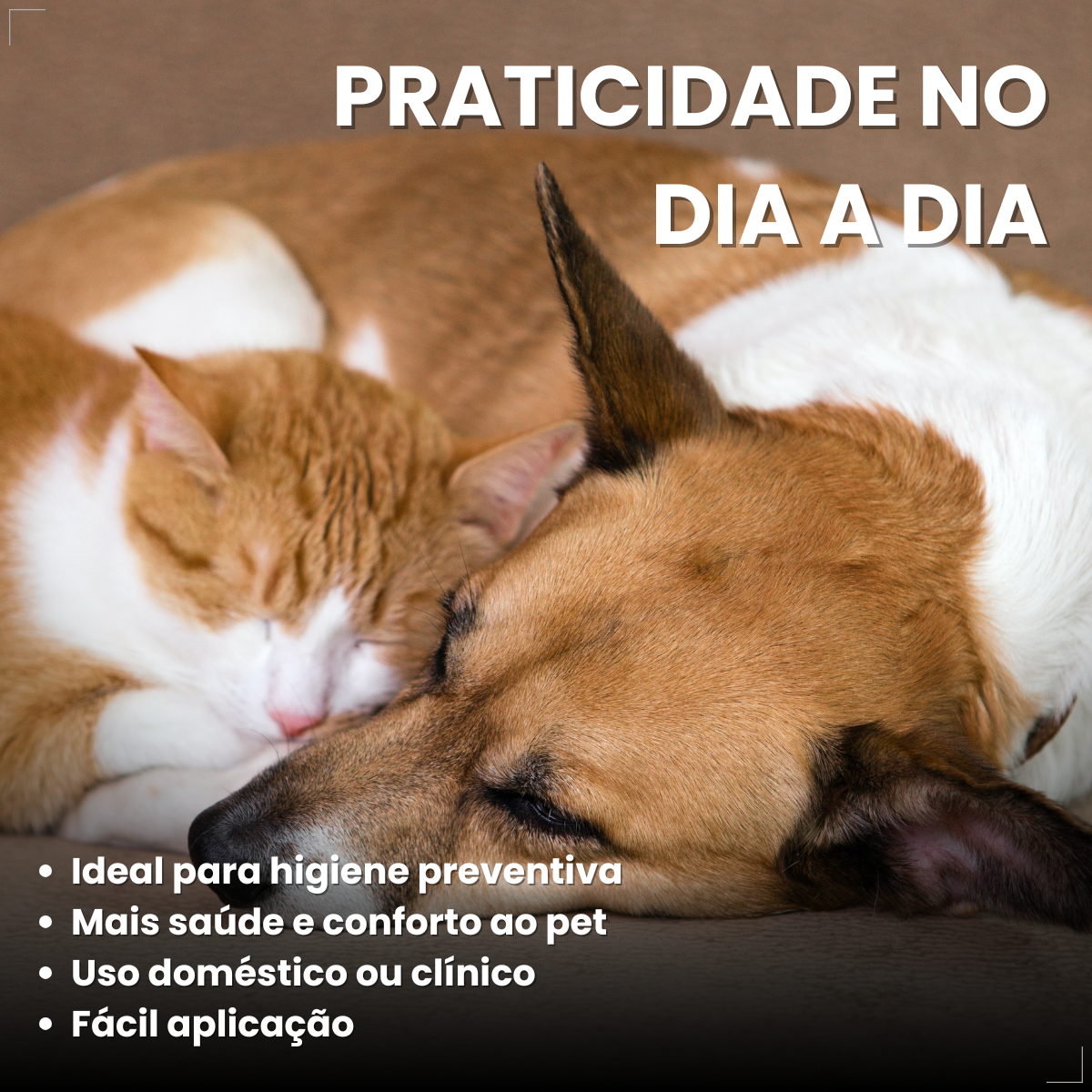 Surosolve Solução Auricular Para Cães e Gatos 125ml Elanco