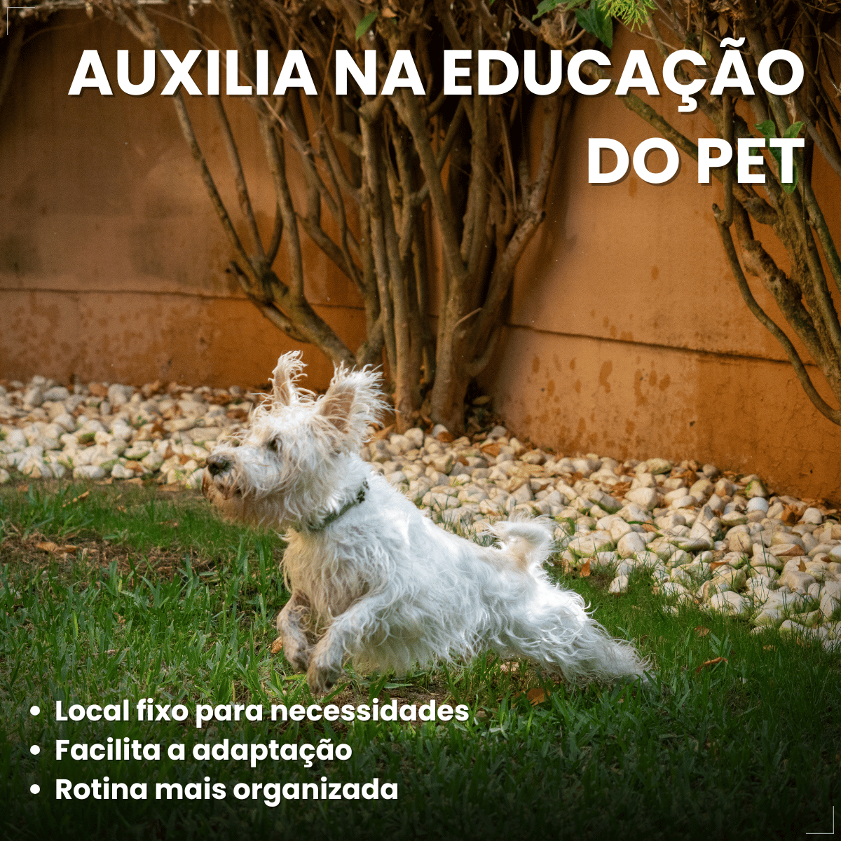 Tapete Higiênico Lavável 2D Pet 50x40cm Eliminação de Odores