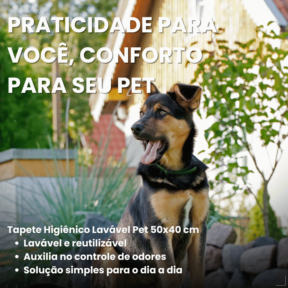 Tapete Higiênico Lavável 2D Pet 50x40cm Eliminação de Odores