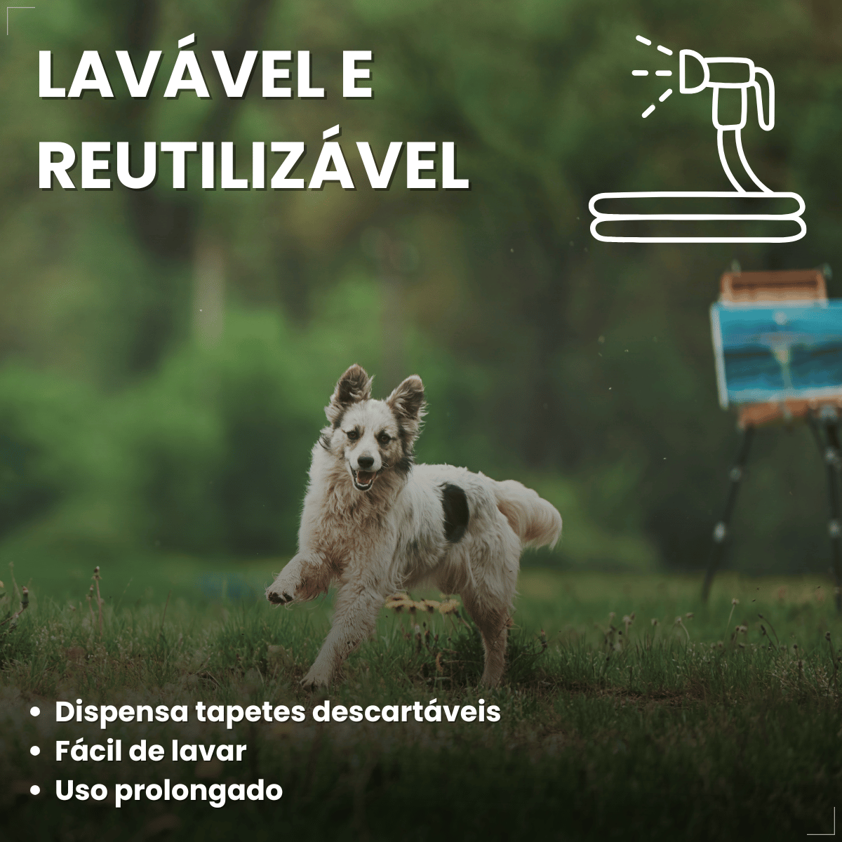 Tapete Higiênico Lavável 2D Pet 50x40cm Eliminação de Odores