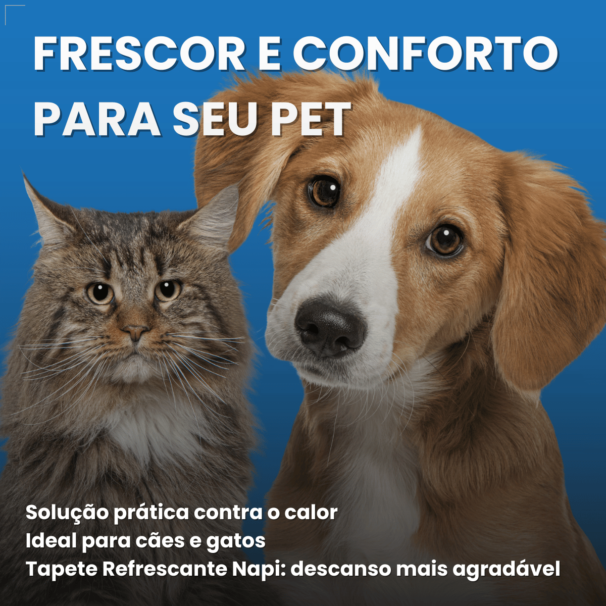 Cama Refrescante Napi 90x50 Azul Para Cães E Gatos Grande