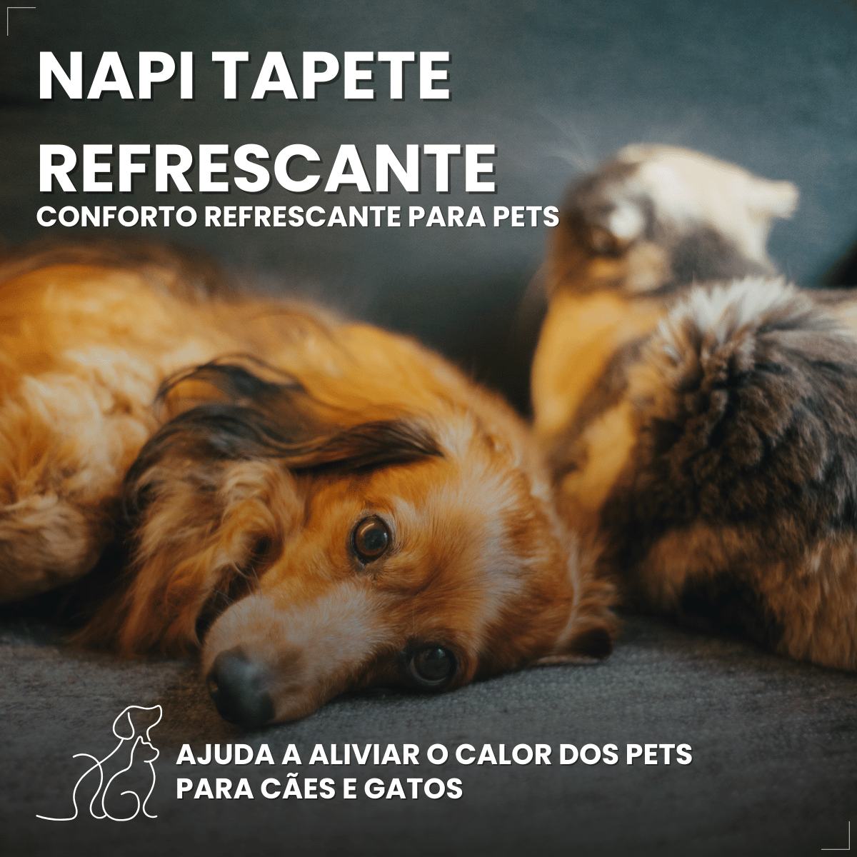 Cama Refrescante Napi 90x50 Azul Para Cães E Gatos Grande