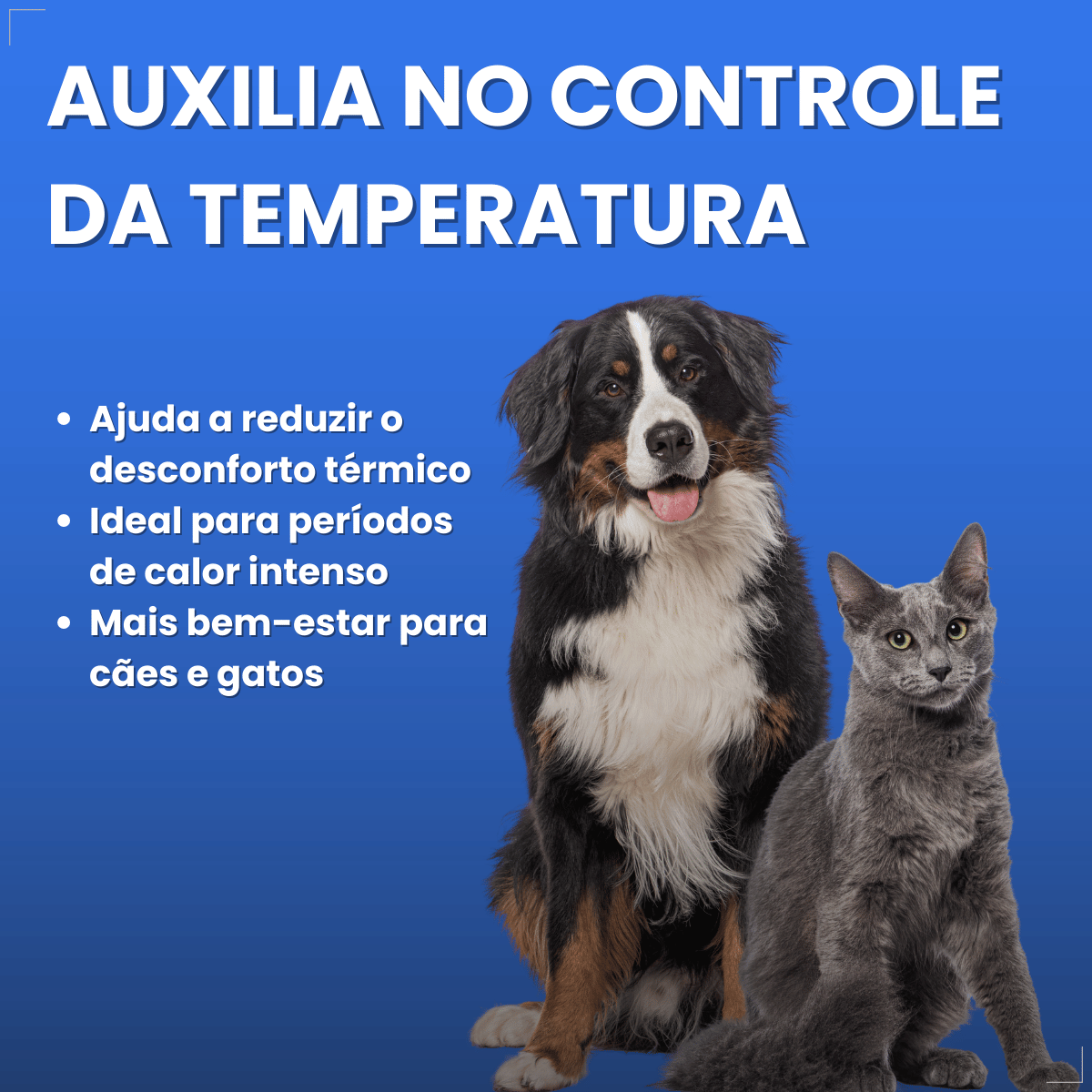 Cama Refrescante Napi 65x50 Azul Para Cães E Gatos Medio