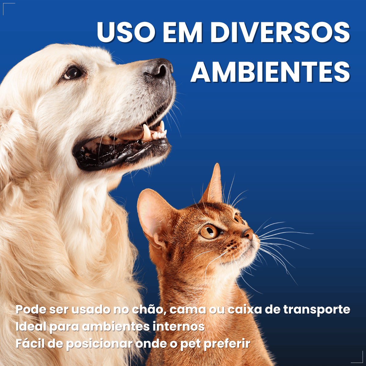 Cama Refrescante Napi 65x50 Azul Para Cães E Gatos Medio