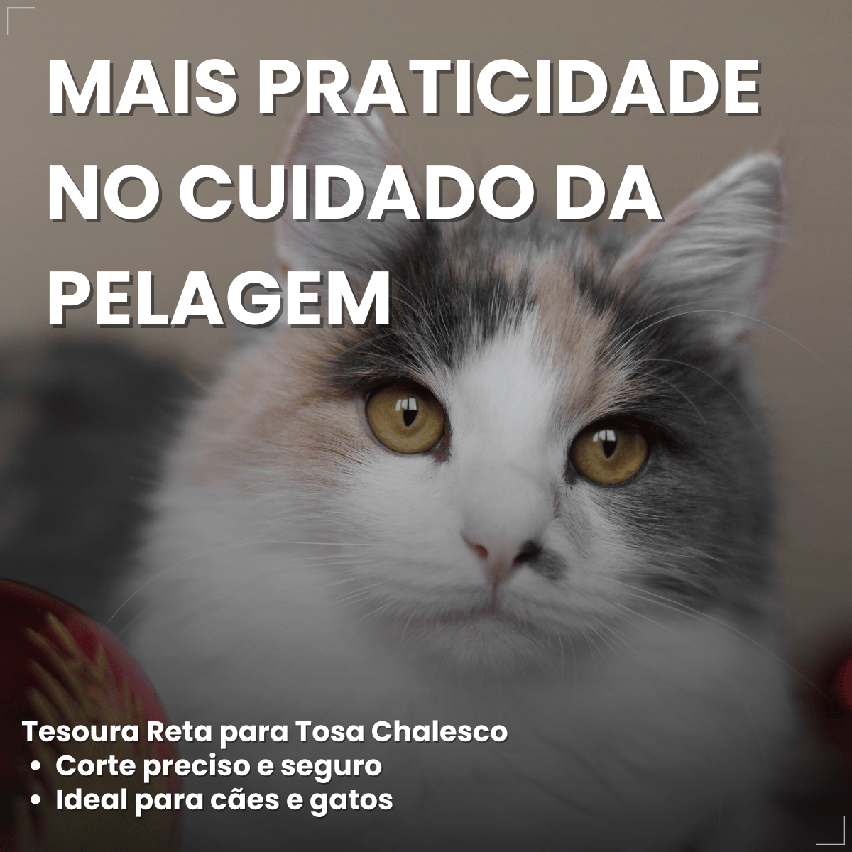 Tesoura Reta Para Tosa Chalesco