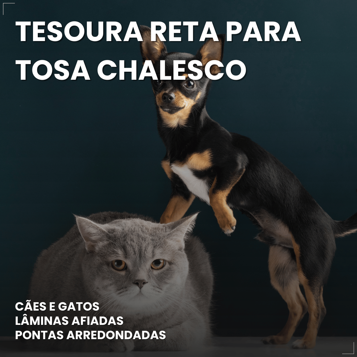 Tesoura Reta Para Tosa Chalesco