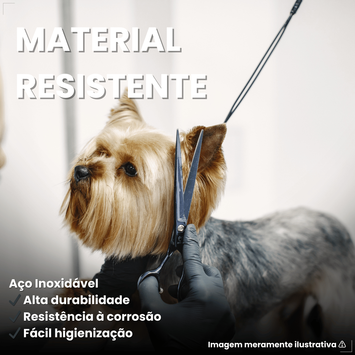 Tesoura Reta Para Tosa Chalesco