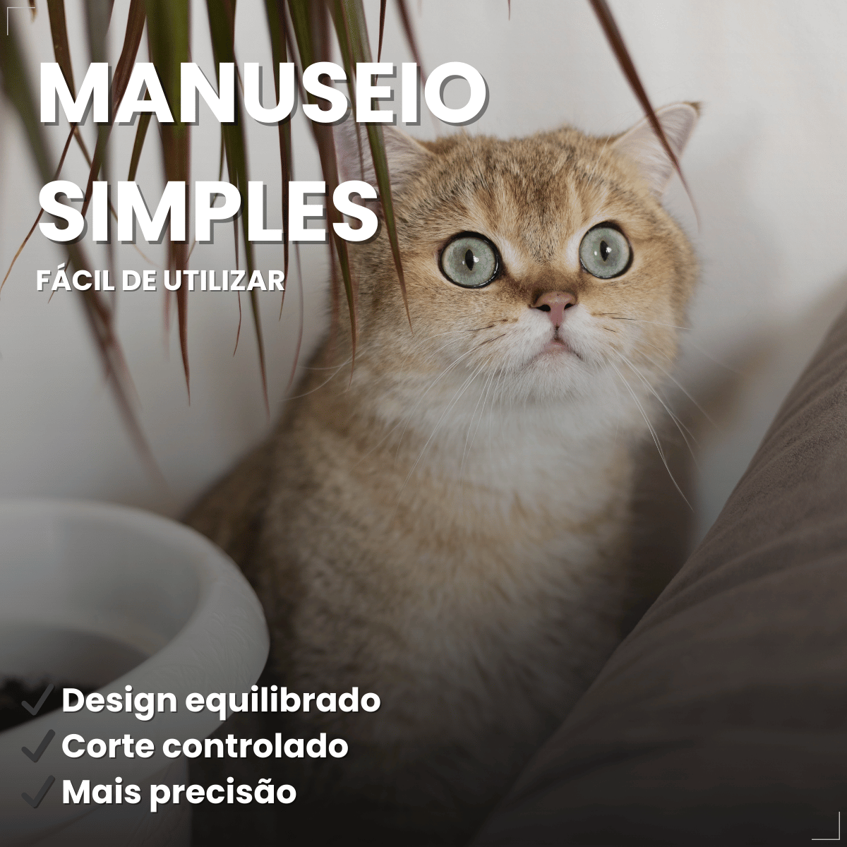 Tesoura Reta Para Tosa Chalesco