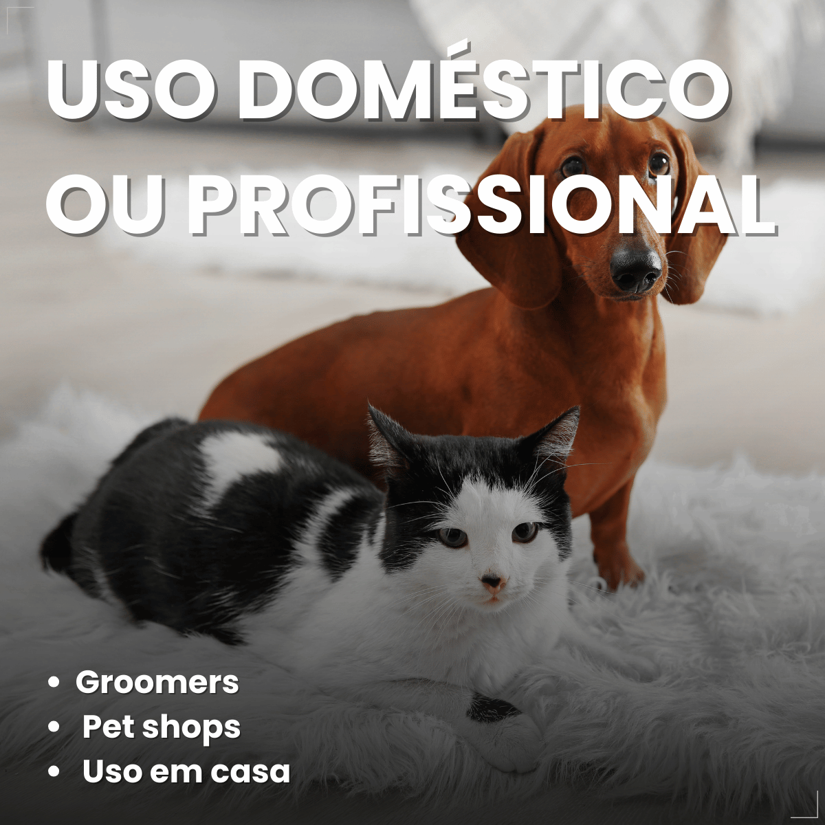 Tesoura Reta Para Tosa Chalesco