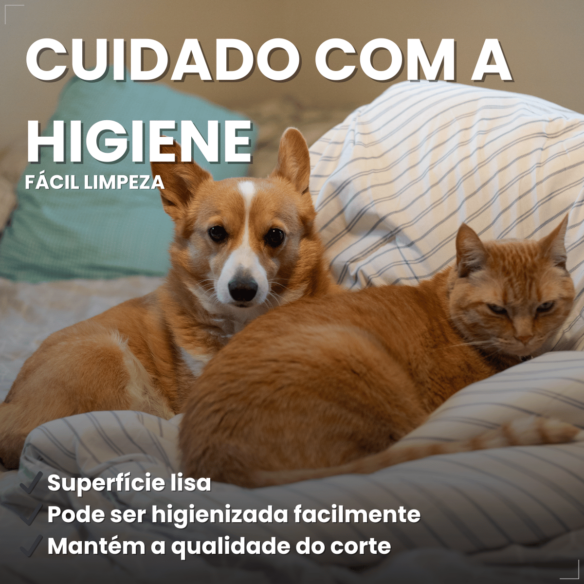 Tesoura Reta Para Tosa Chalesco