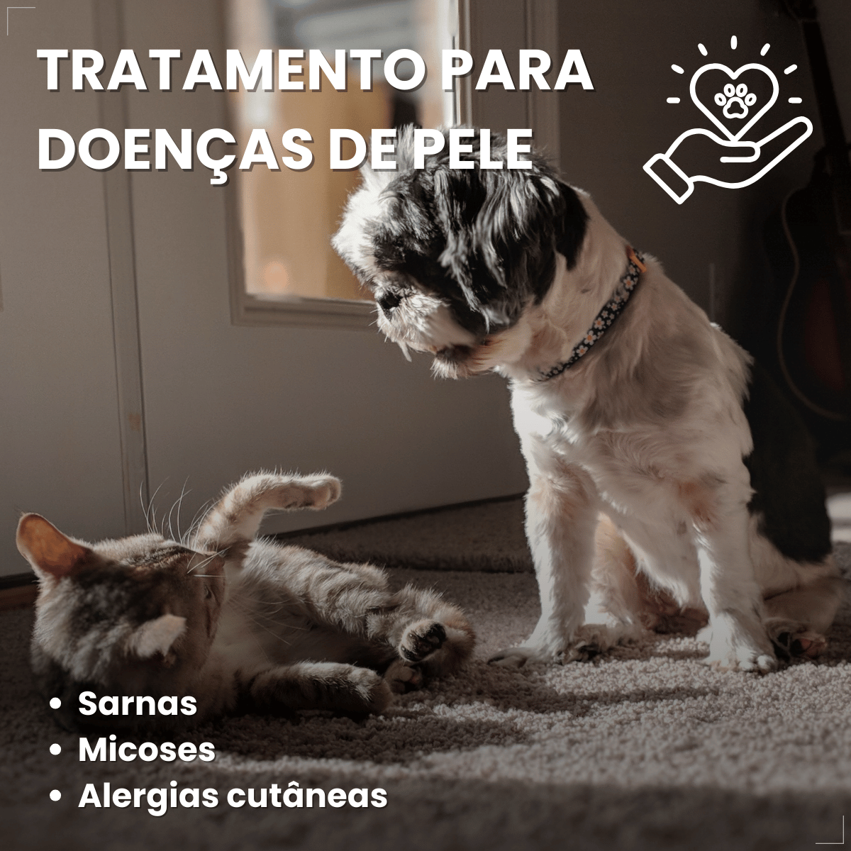 Tetisarnol Spray Dermatológico para Cães e Gatos 150ml