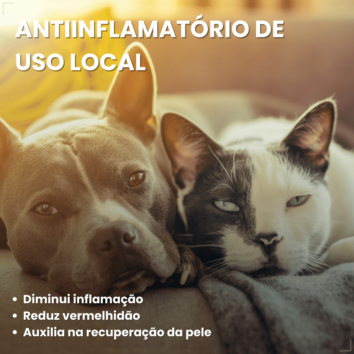 Tetisarnol Spray Dermatológico para Cães e Gatos 150ml
