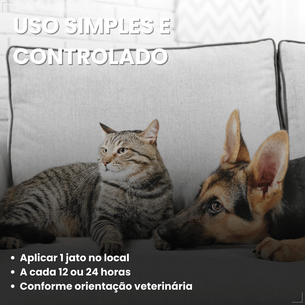 Tetisarnol Spray Dermatológico para Cães e Gatos 150ml