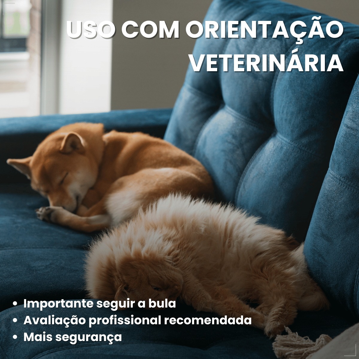 Tetisarnol Spray Dermatológico para Cães e Gatos 150ml