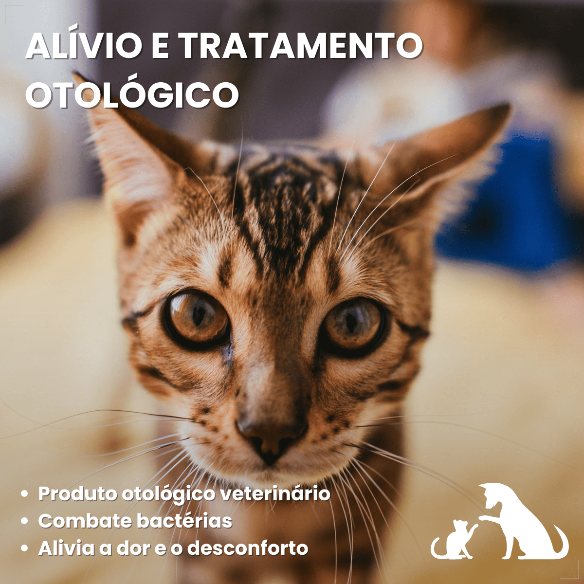 Otolin para Cães e Gatos UCB Vet 15 ml