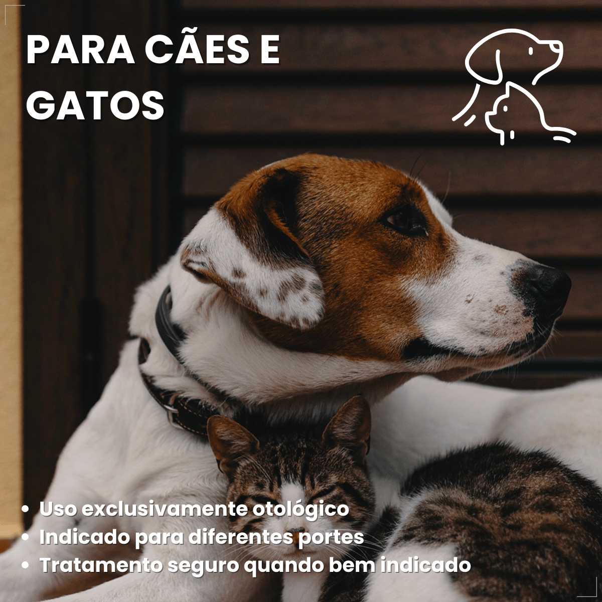 Otolin para Cães e Gatos UCB Vet 15 ml