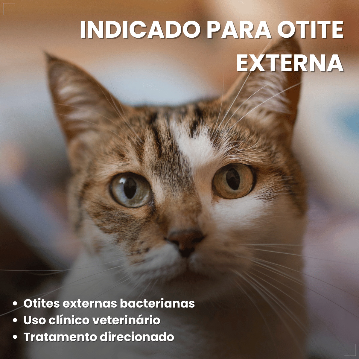 Otolin para Cães e Gatos UCB Vet 15 ml