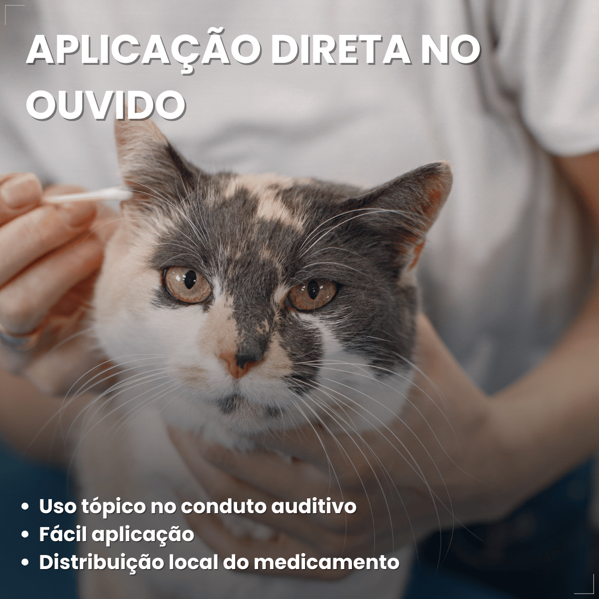 Otolin para Cães e Gatos UCB Vet 15 ml