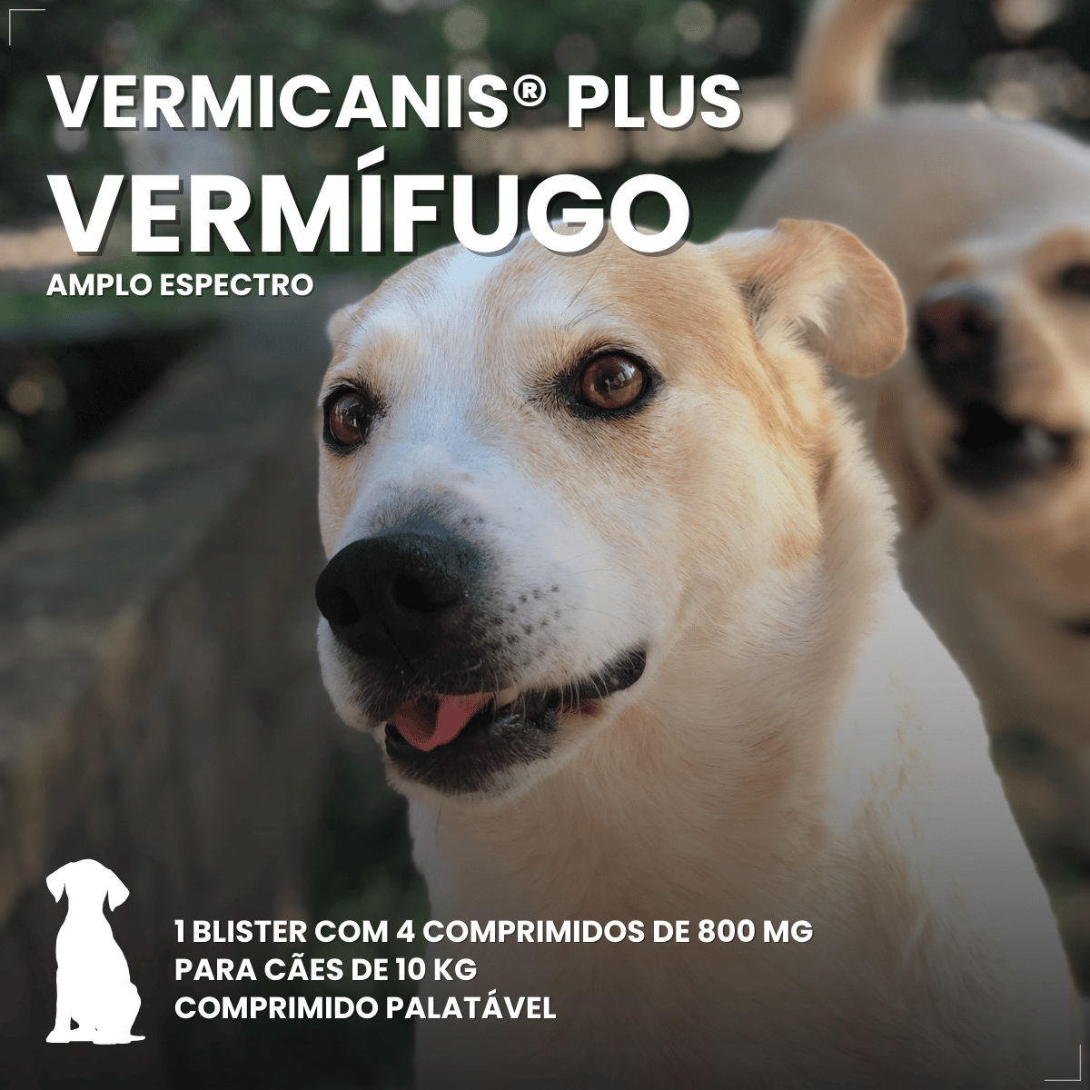 Vermífugo VermiCanis Plus 800mg 4 Comprimidos Cães 10kg