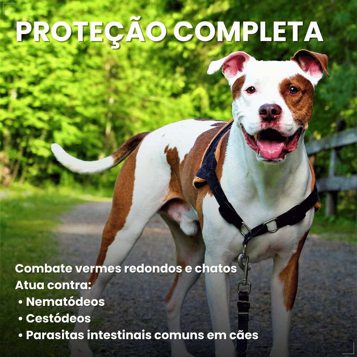 Vermífugo VermiCanis Plus 800mg 4 Comprimidos Cães 10kg