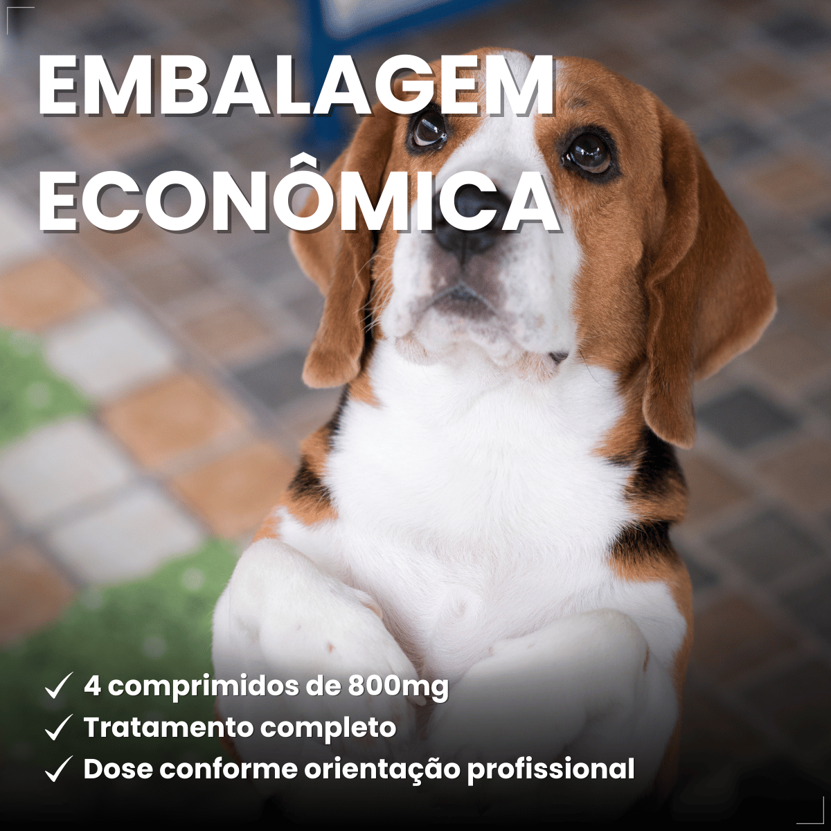 Vermífugo VermiCanis Plus 800mg 4 Comprimidos Cães 10kg