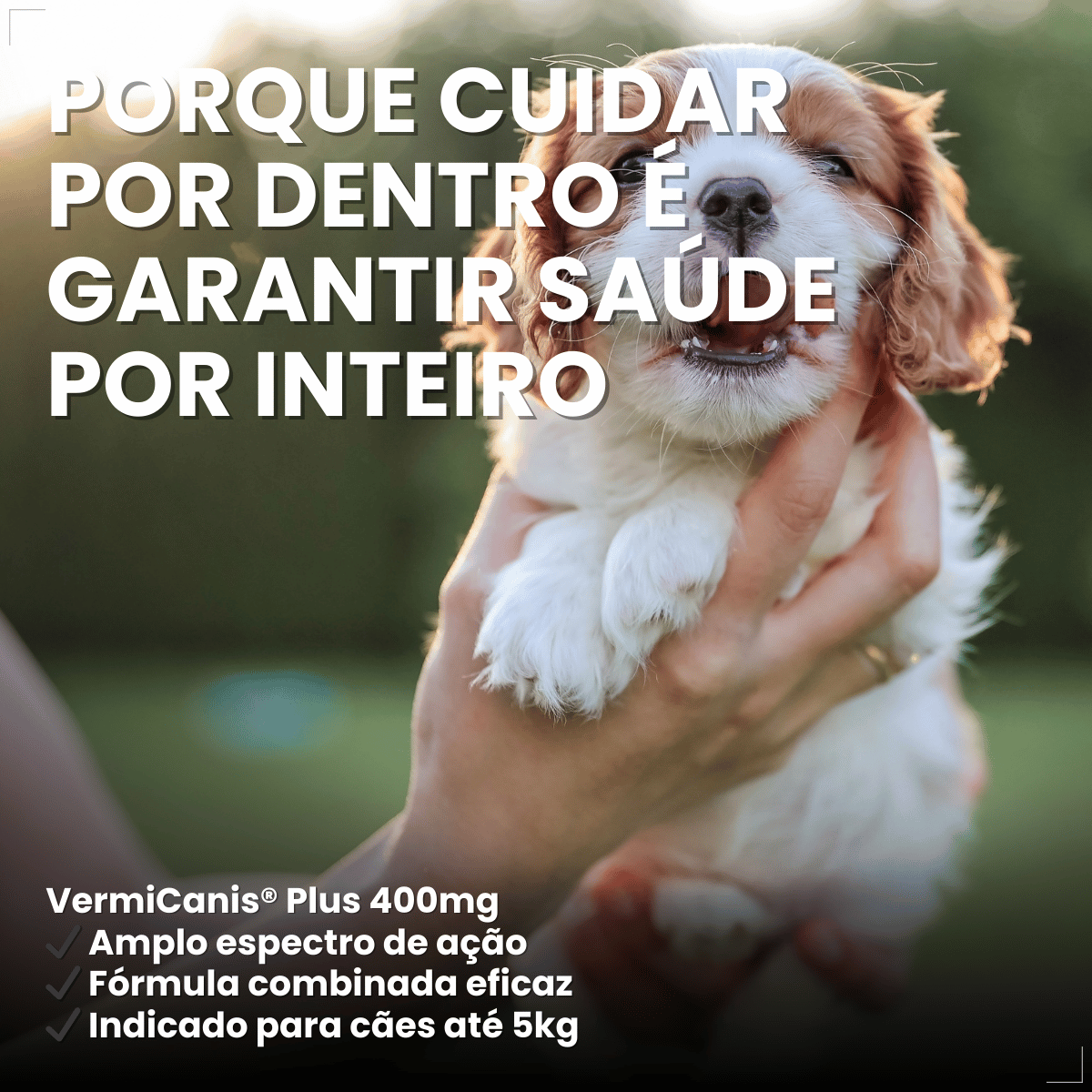 VermiCanis Plus 400mg 4 Comprimidos Cães 5kg