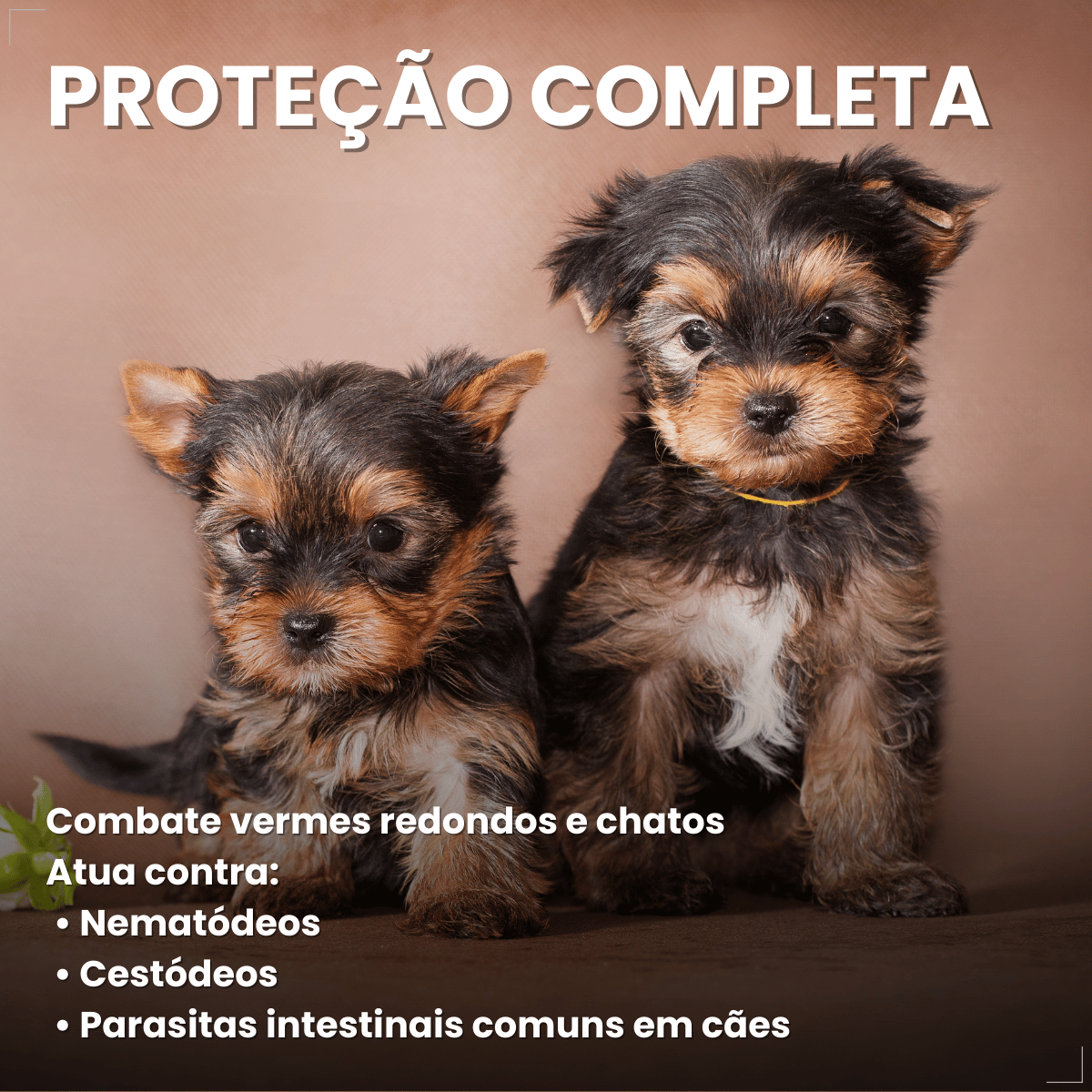 VermiCanis Plus 400mg 4 Comprimidos Cães 5kg