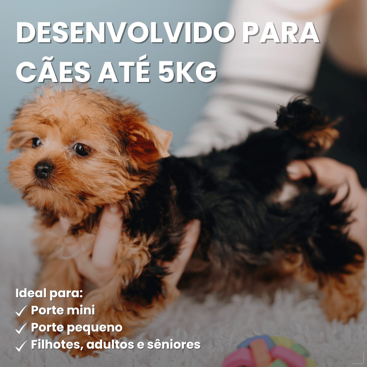 VermiCanis Plus 400mg 4 Comprimidos Cães 5kg