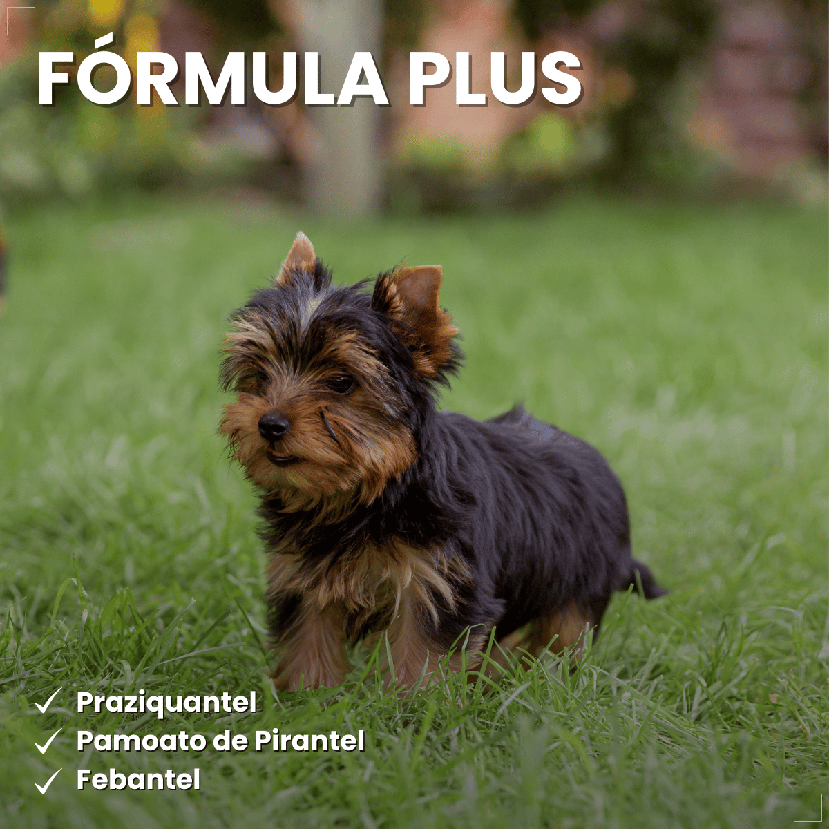 VermiCanis Plus 400mg 4 Comprimidos Cães 5kg