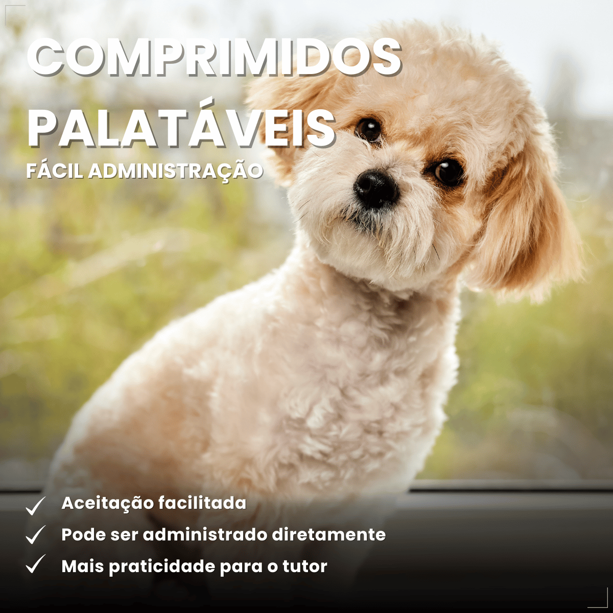 VermiCanis Plus 400mg 4 Comprimidos Cães 5kg