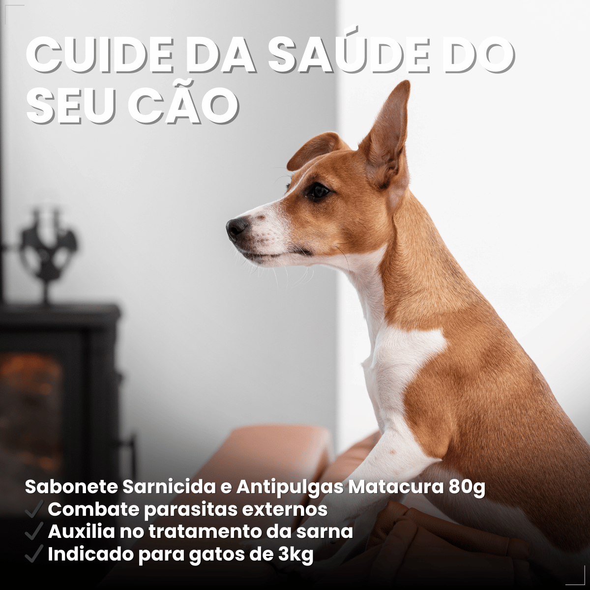Sabonete Cães Matacura Pulga Piolho Carrapato Caspa Sarna