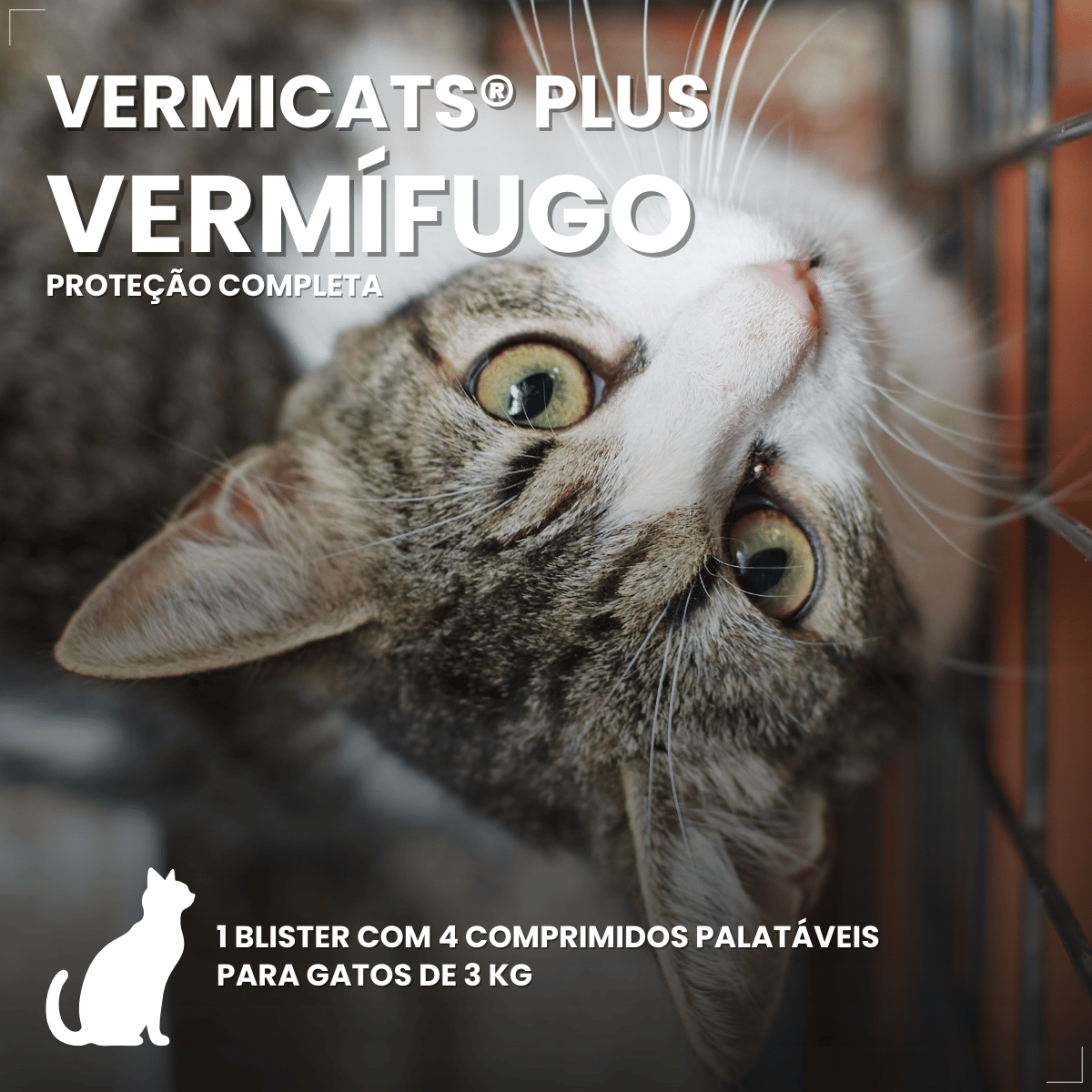 Vermífugo VermiCats Plus 4 Comprimidos Gatos 3kg