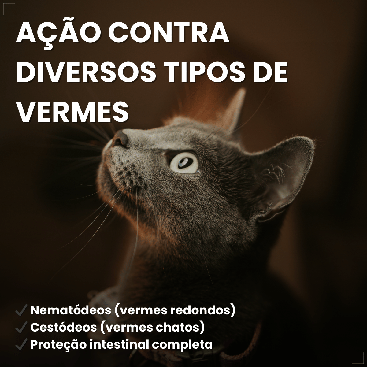 Vermífugo VermiCats Plus 4 Comprimidos Gatos 3kg