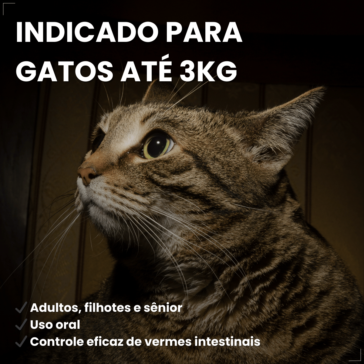 Vermífugo VermiCats Plus 4 Comprimidos Gatos 3kg