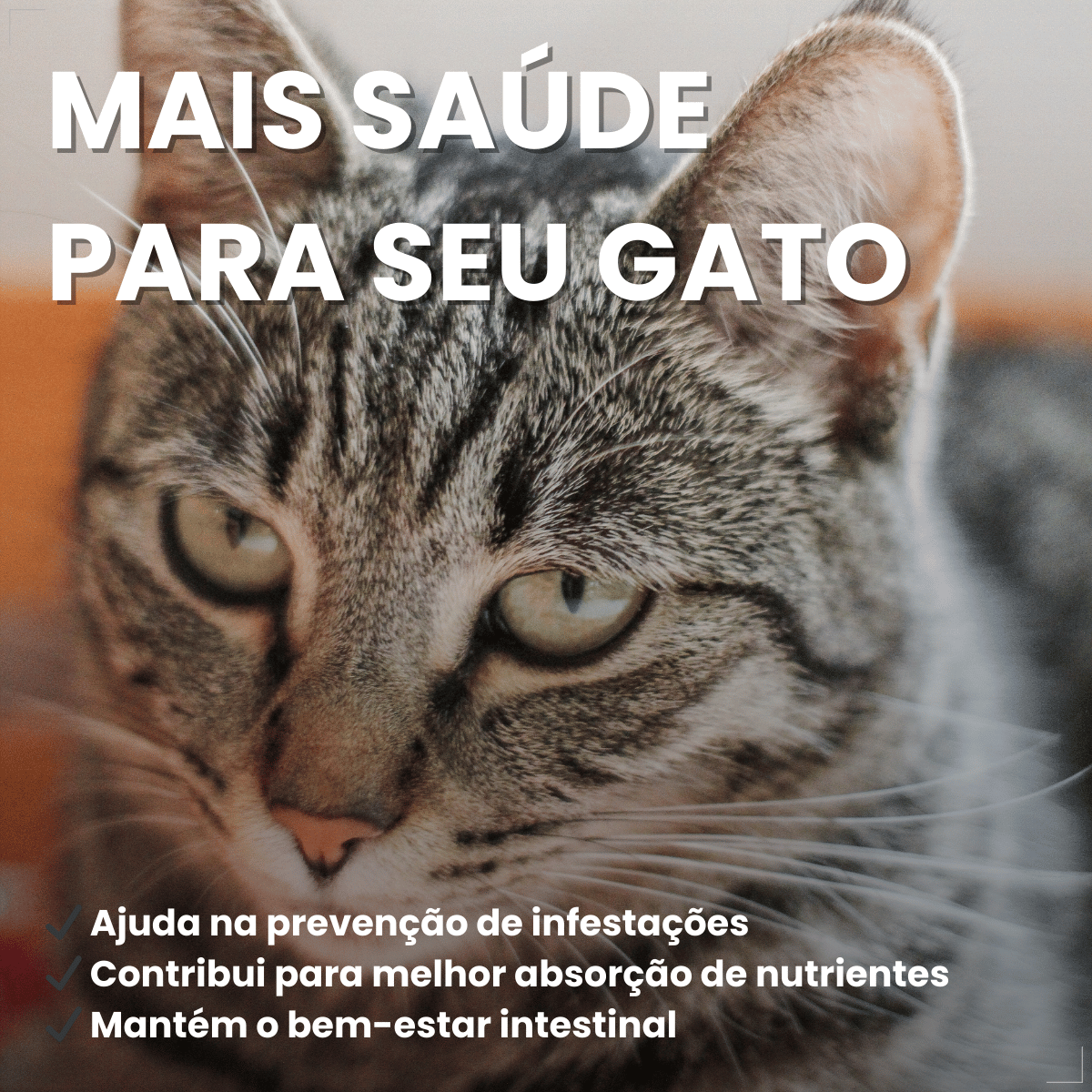 Vermífugo VermiCats Plus 4 Comprimidos Gatos 3kg