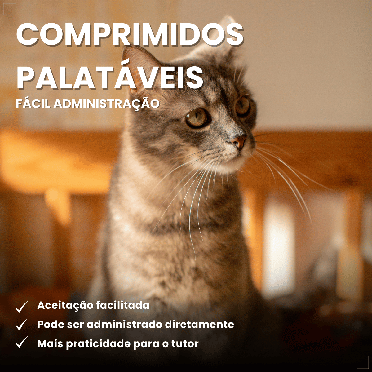 Vermífugo VermiCats Plus 4 Comprimidos Gatos 3kg