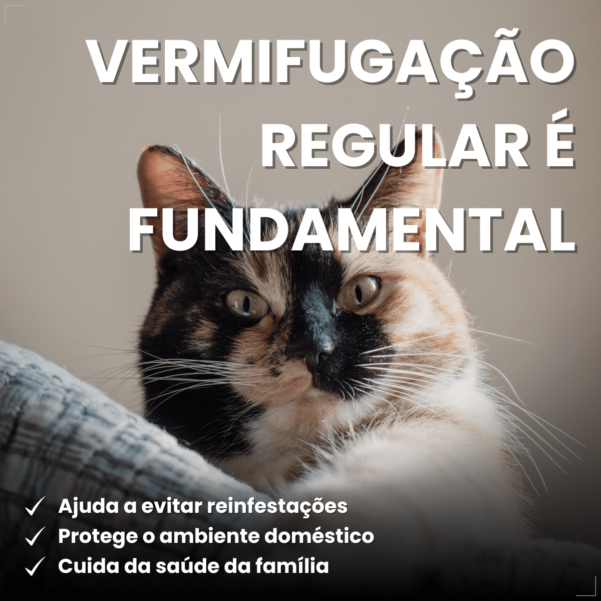 Vermífugo VermiCats Plus 4 Comprimidos Gatos 3kg